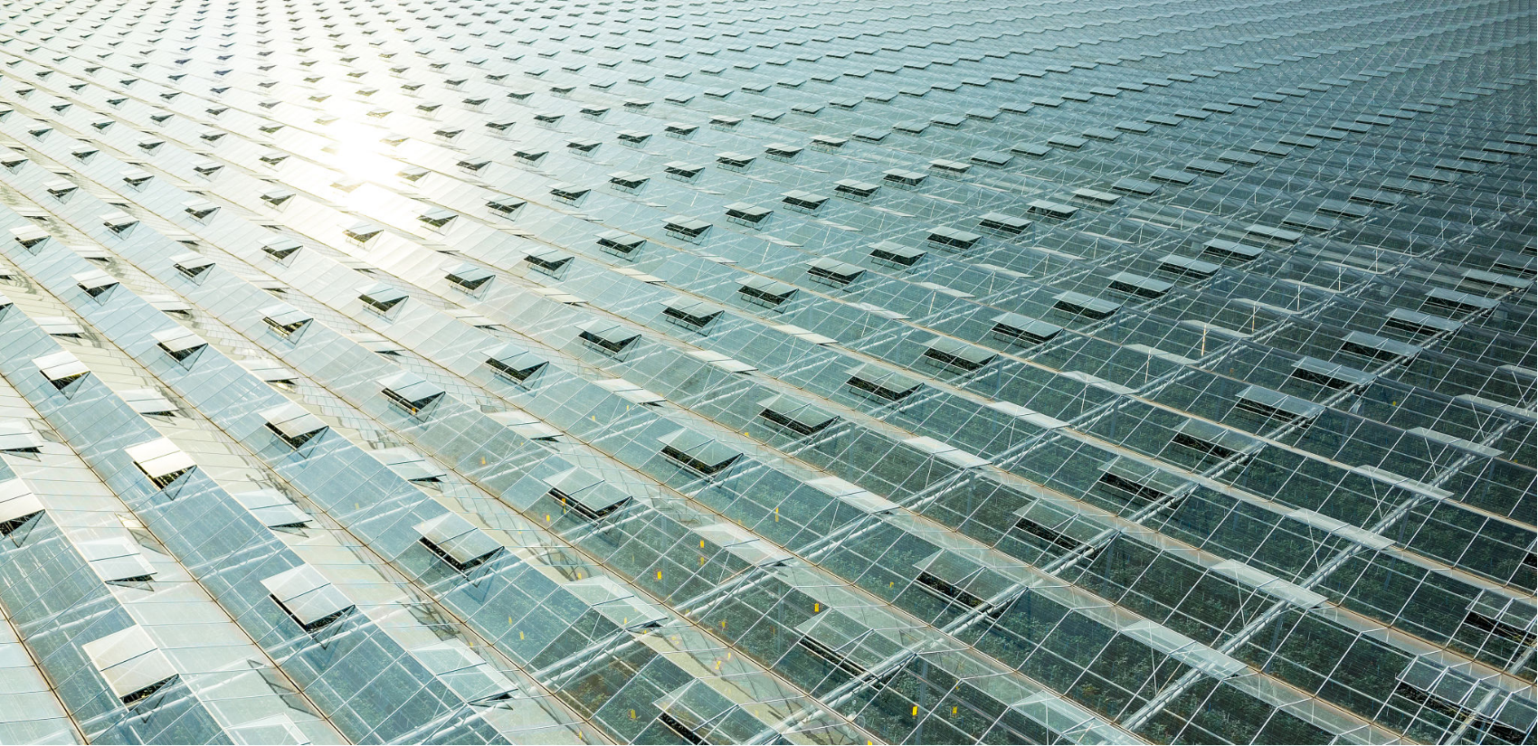 水肥一體化 水肥一體化